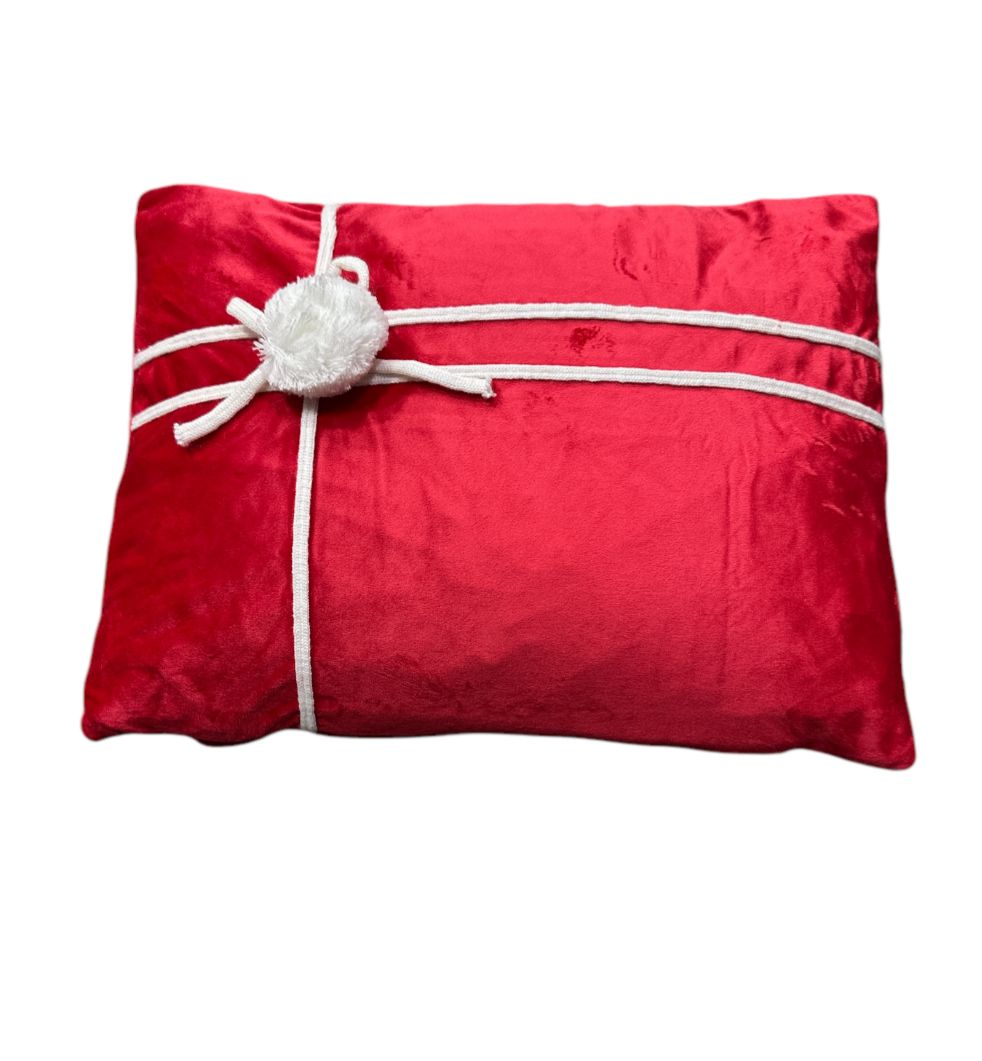 Cojín Rectangular de Terciopelo Bordado